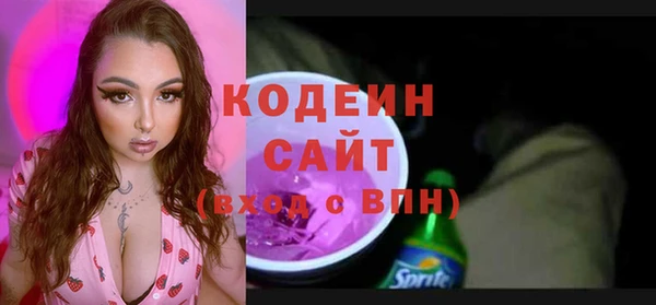 стаф Вязьма